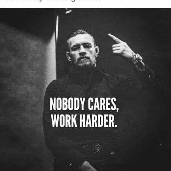 Meet your Posher, Lucas - Picture 1 of 1